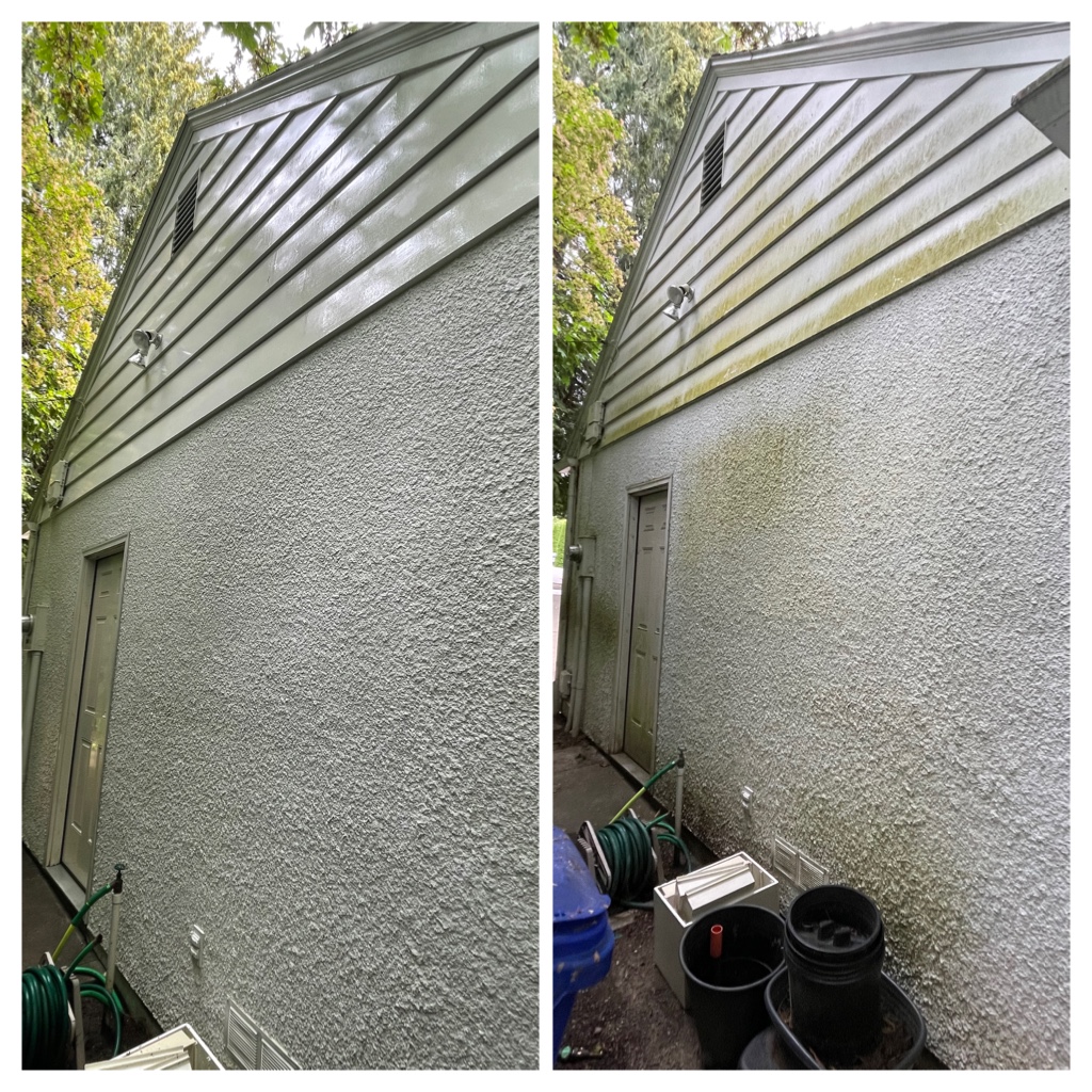House Washing before and after image