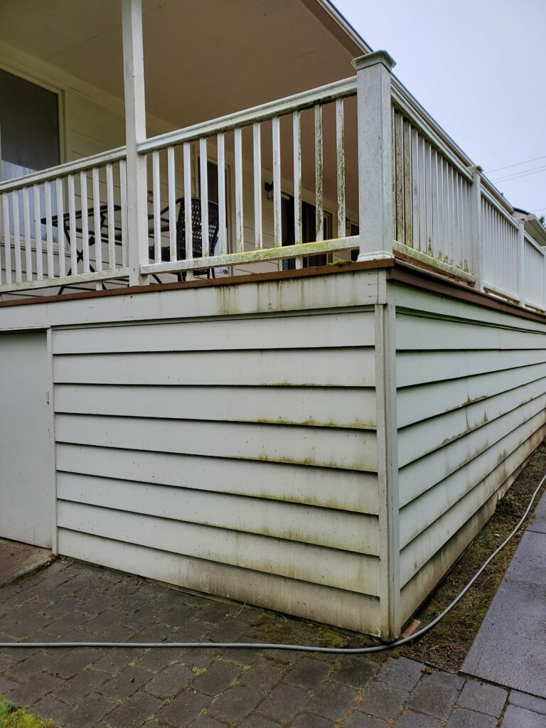 House Washing Before Pressure Washing
