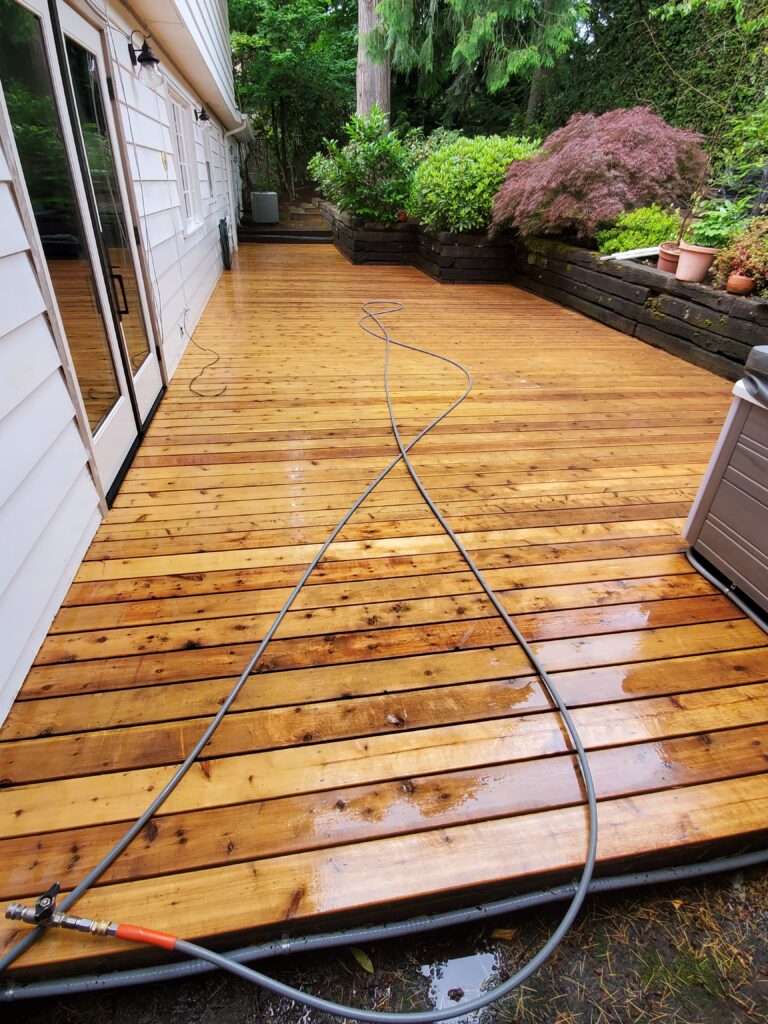 Pressure Washing Tips for Homeowners #1