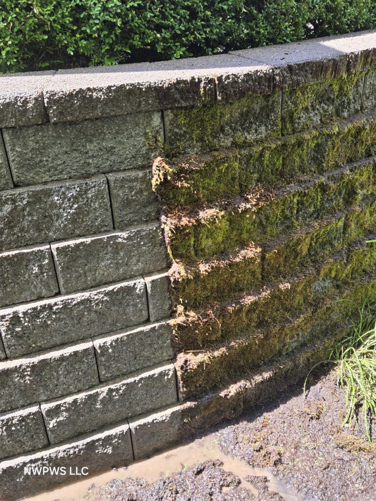 Pressure washing services Portland Oregon half cleaned retaining wall showing moss removal progress
