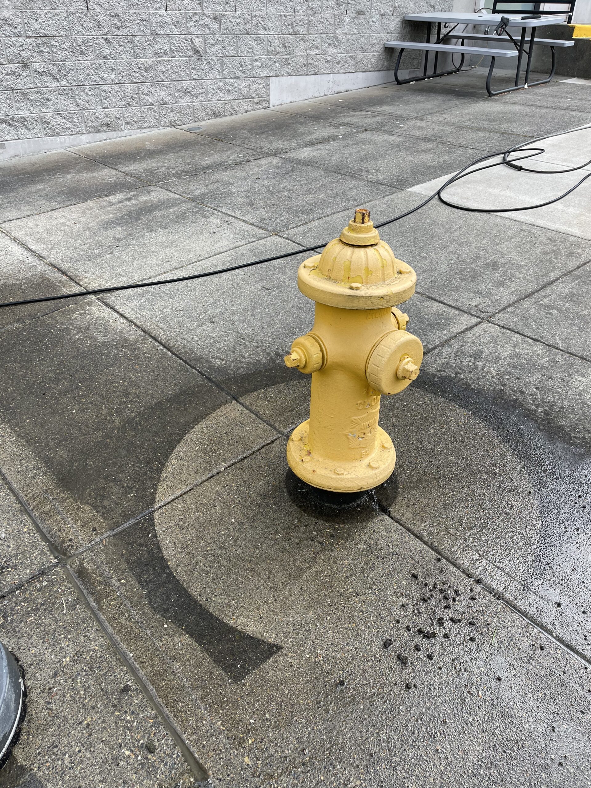 Commercial Pressure Washing Concrete