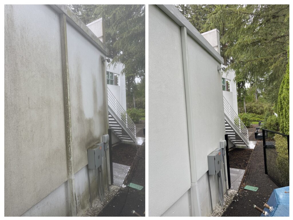 House Washing before and after image