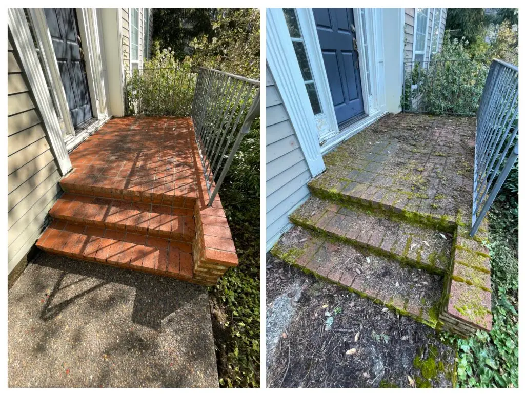 Pressure Washing Lake Oswego Entryway before and After Image