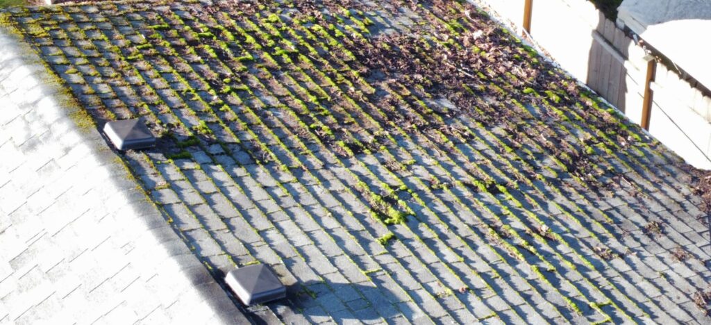 Roof Cleaning Before Pressure Washing