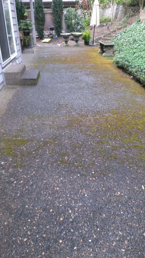 Driveway pressure washing before image