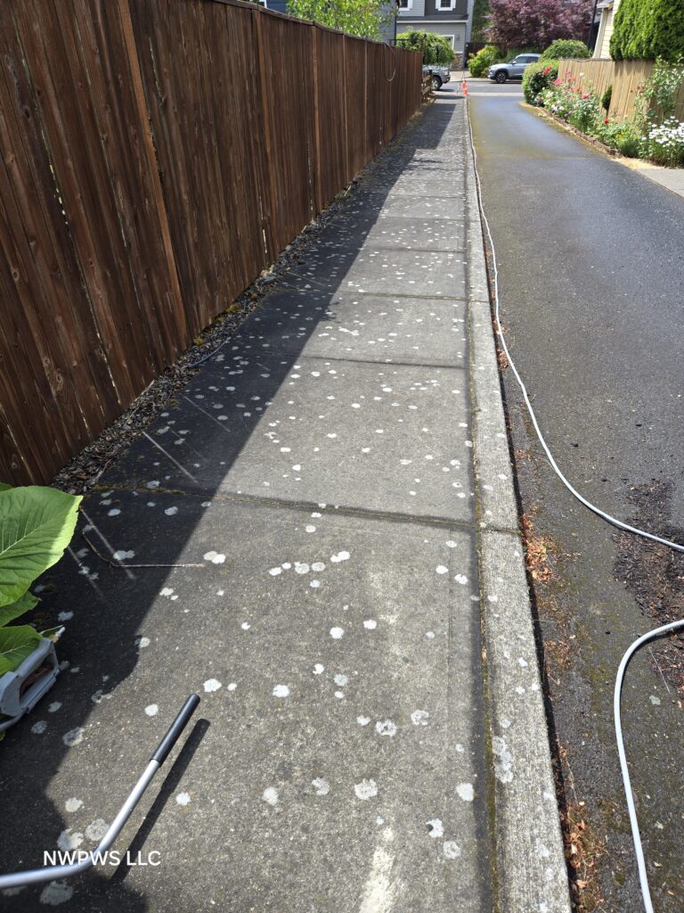 Sidewalk pressure washing before photo