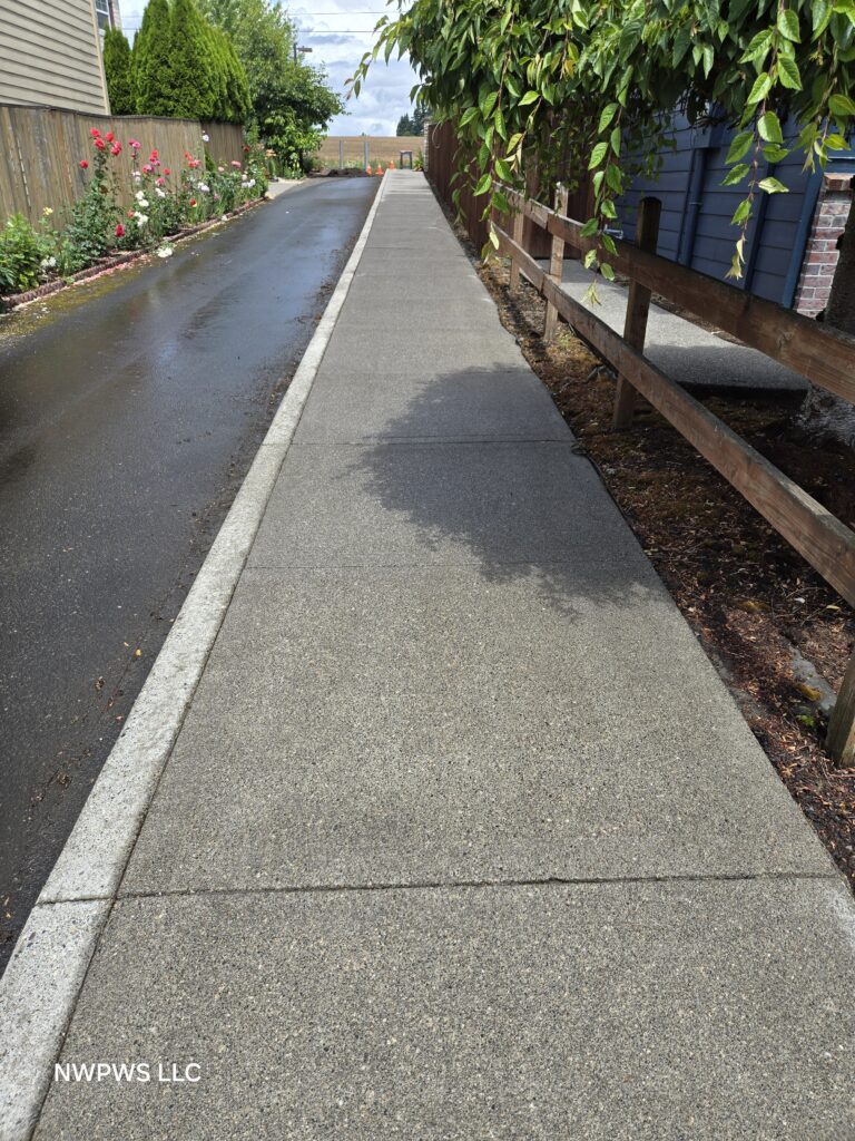 sidewalk pressure washing after photo
