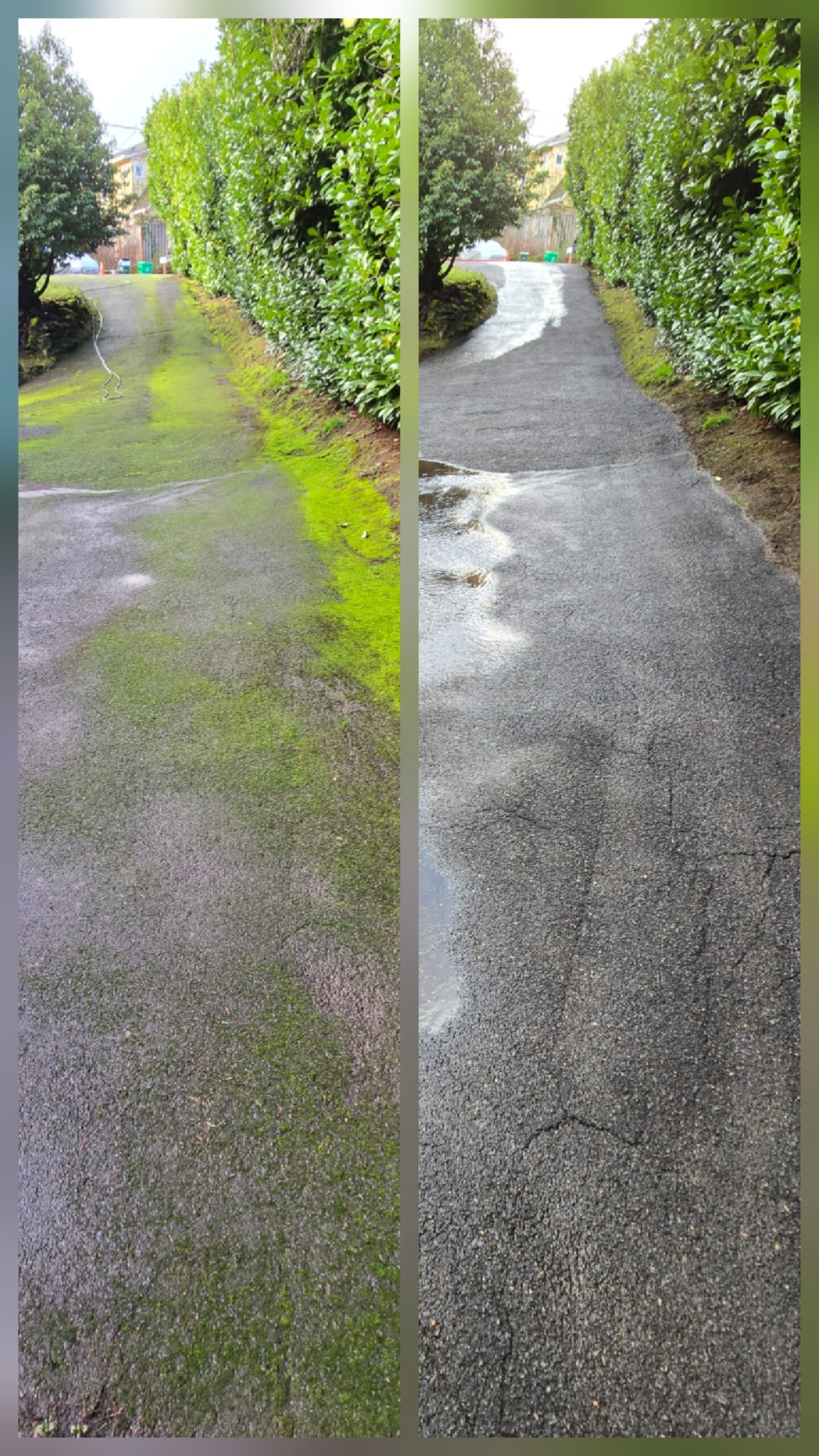 Driveway cleaning before and after image