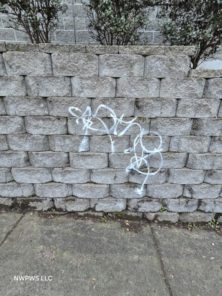 Graffiti Removal Richmond, VA before service image