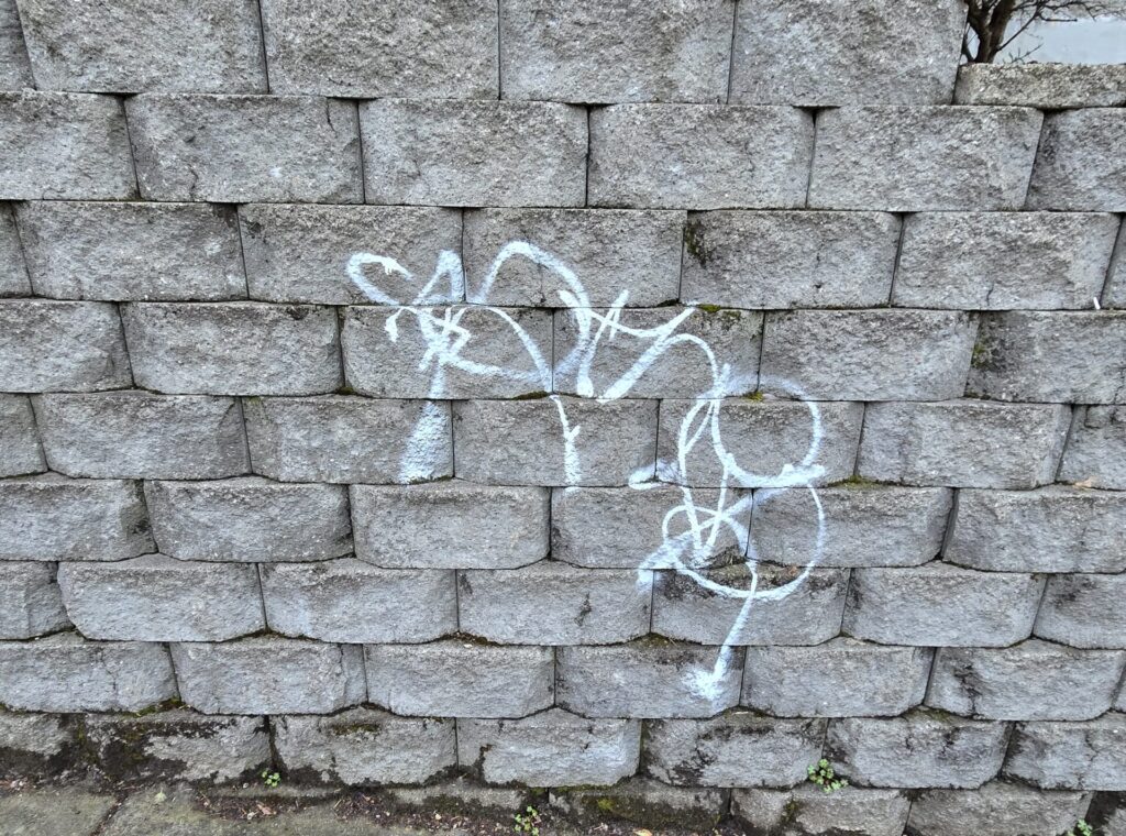 Graffiti Removal Richmond, VA before service image