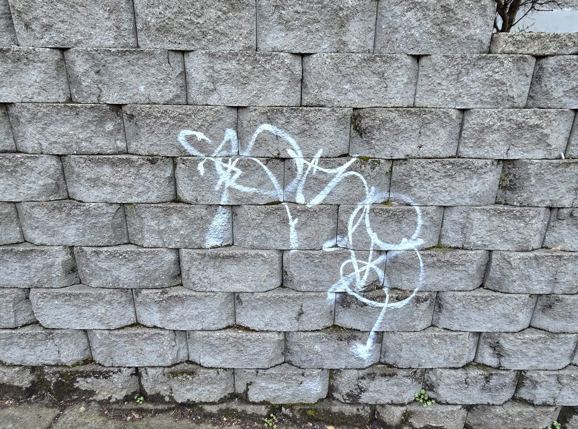 Graffiti Removal Richmond, VA before service image